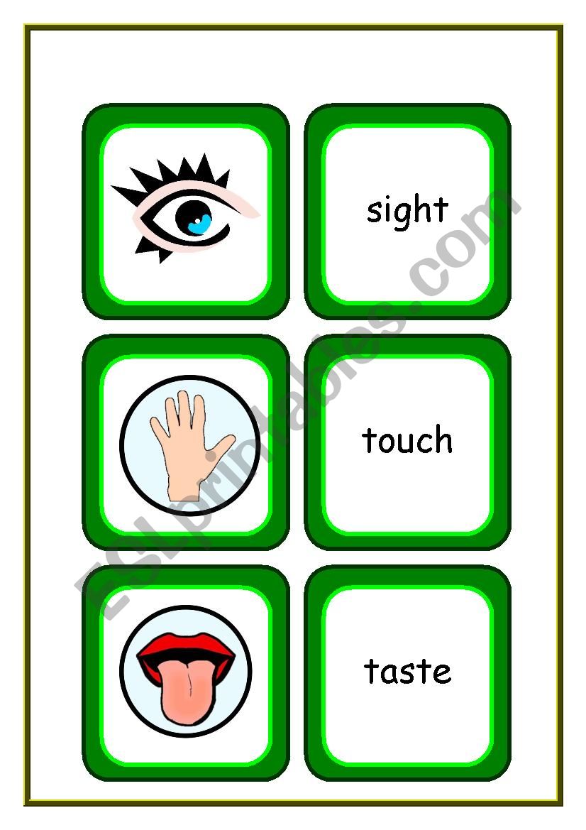 THE FIVE SENSES [FLASHCARDS] worksheet